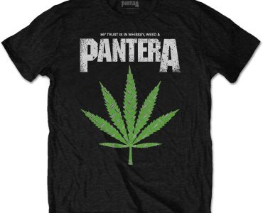 Dominate the Scene: Dive into Pantera's Store