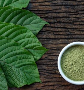 Green Bali Kratom Effects, Benefits, and Tips