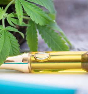 THC Vape Myths and Facts What You Need to Know