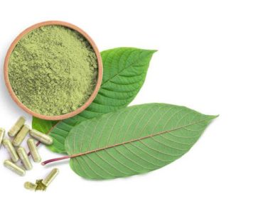 Exploring the Benefits of Green Malay Kratom